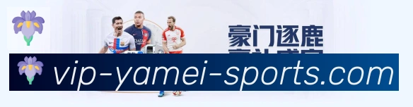 未来规划
